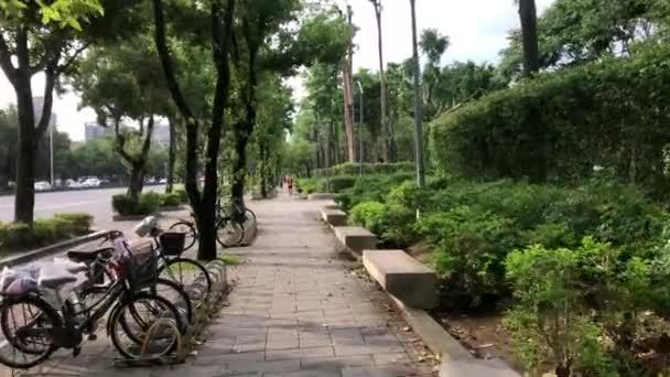 台風19号 Maria Maria の翌日の大安公園では 快適な散歩とランニングを楽しむ人々のサイクリストの視点 — ストック動画