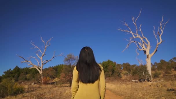 Сонячний День Молода Дівчина Ходить Мальовничим Краєвидом Австралії — стокове відео