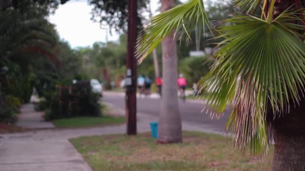 Todavía Tiro Los Ciclistas Que Conducen Por Coche — Vídeos de Stock