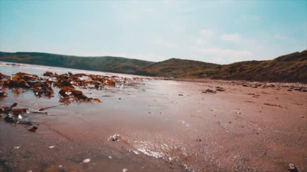 Uklidnit Vlny Pláži — Stock video
