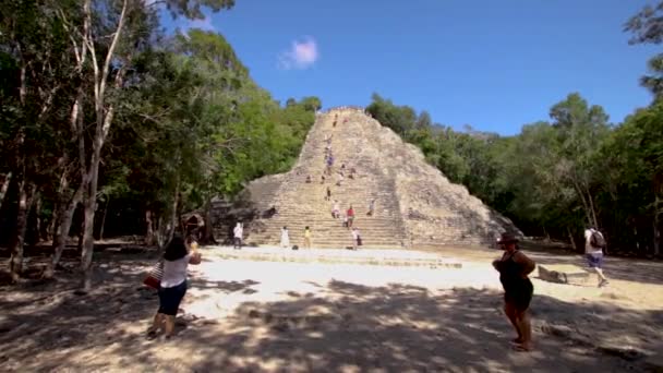 Coba Ruin Mexiko — Stockvideo