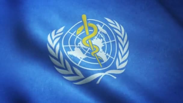 Реалистичный Флаг Всемирной Организации Здравоохранения Размахивающий Детально Текстурой Ткани — стоковое видео
