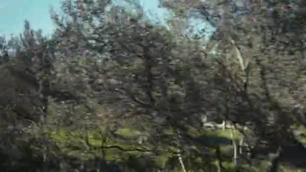 郊外の環境 移動車両からの映像 — ストック動画