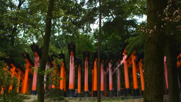 Persone Che Attraversano Porte Rosse Torii Del Santuario Fushimi Inari — Video Stock