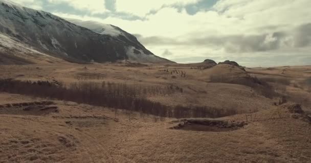 Ijsland Veld Vliegen Door Bergen Tijdens Lente Winter — Stockvideo