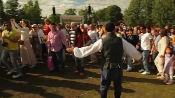 Traditionele Zweedse Midzomer Pole Dancing Prachtig Traditioneel Midzomer Festival Bij — Stockvideo