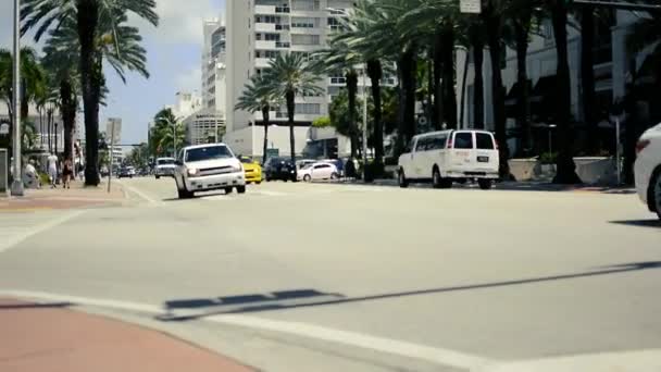 Bytrafikk Miami Med Bakgrunn – stockvideo