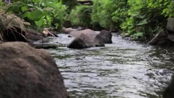 Вода Течет Маленькой Реке — стоковое видео