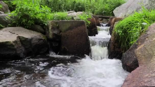 Fließendes Wasser Warf Heringslauf — Stockvideo