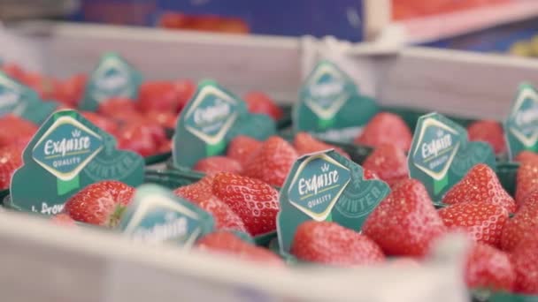 Erdbeeren Zum Verkauf Einem Lokalen Supermarkt — Stockvideo