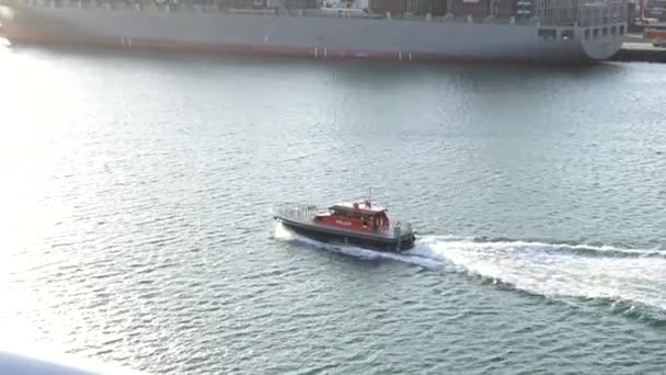 Australian Cruise Terminal Pilot Boat — Vídeos de Stock