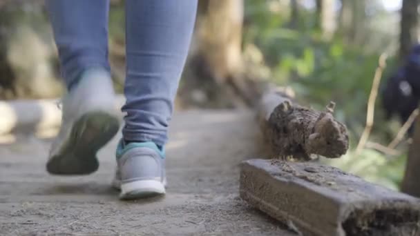 Woman Walking Wooden Bridge Rattlesnake Ledge Washington State — Stock Video