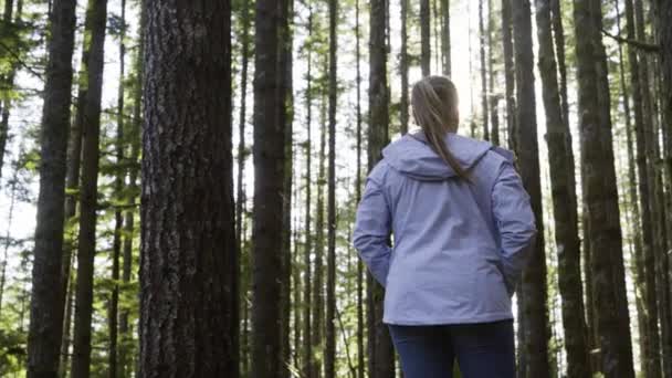 Mädchen Wandert Der Natur Auf Klapperschlangen Rücken Bundesstaat Washington — Stockvideo