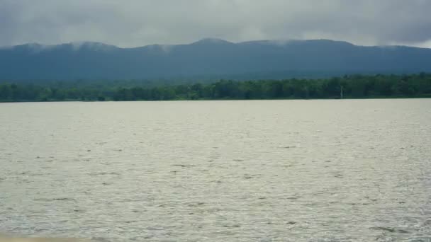 Serena Escena Del Lago Medio Bosque Denso — Vídeos de Stock