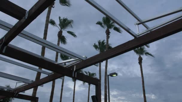 Bir Fırtına Yaklaşıyor Uzakta Planda Insan Yapımı Palmiye Ağaçları — Stok video