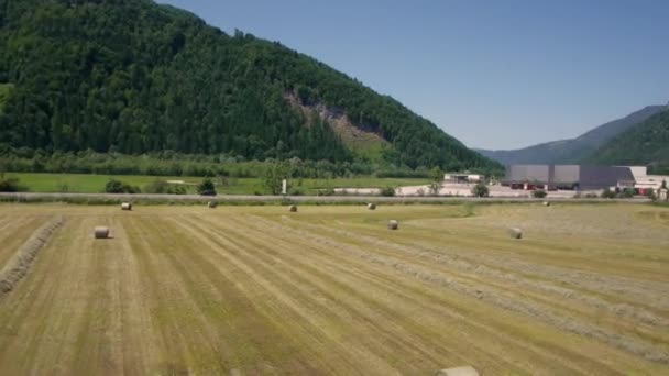 Harvesting Fields Produce Rolled Bales Storage Aerial View — Stock Video