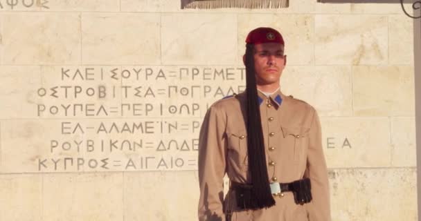 Les Touristes Regardent Relève Garde Sur Place Syntagma Steadicam Shot — Video