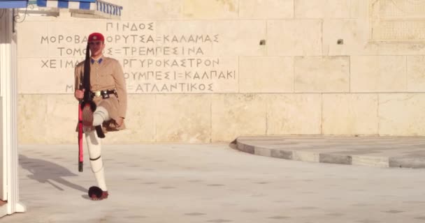 Turisták Nézni Változás Gárda Syntagma Téren Steadicam Shot — Stock videók