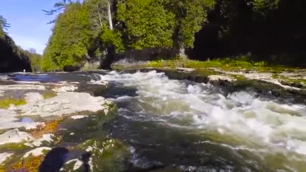 Eau Vive Précipitée Filmée Dans Gorge Ontario Canada Pan Juste — Video