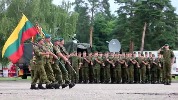 Lithuanian Volunteers March Flags — Stock Video