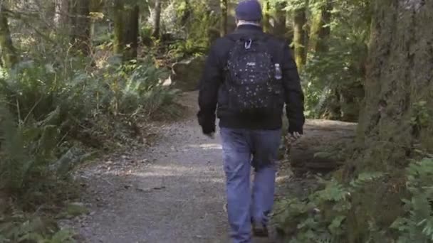 Wandelaars Wandelen Langs Het Pad Staat Washington — Stockvideo