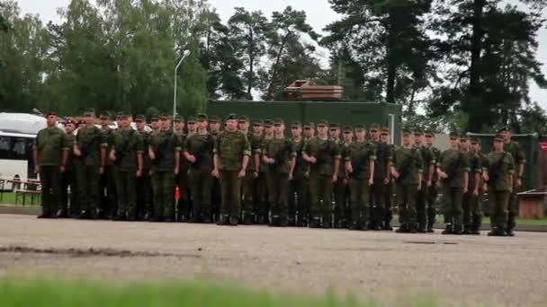 立陶宛志愿人员致敬 — 图库视频影像