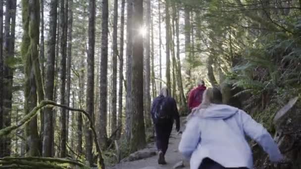 Meisje Rent Naar Het Peloton Rattlesnake Ledge Washington State — Stockvideo