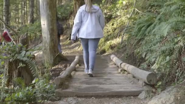 Flicka Promenader Över Bron Skogen — Stockvideo