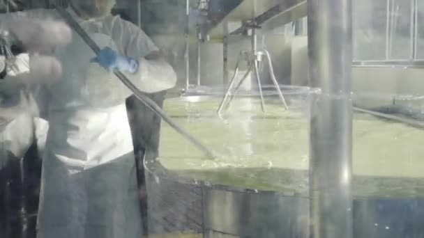 Man Making Cheese Seattle Washington Next Pike Place Market — Stock Video