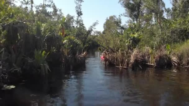 Ragazza Bionda Che Remava Kayak Rosso Attraverso Una Foresta Pluviale — Video Stock