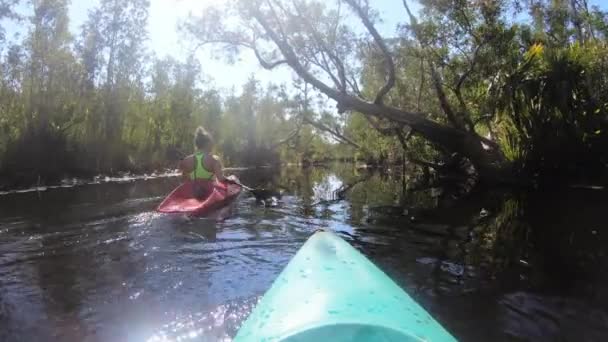 Kajakken Een Regenwoud Rivier Point View — Stockvideo