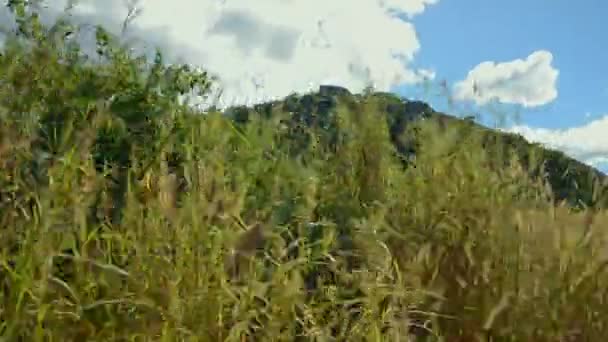 Tiro Panning Uma Montanha Zâmbia — Vídeo de Stock