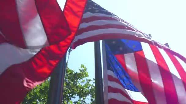 Drapeaux Américains Agitant Rockefeller Centre Idéal Pour Une Vidéo Patriotique — Video