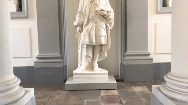 Статуя Никодимуса Тессина — стоковое видео