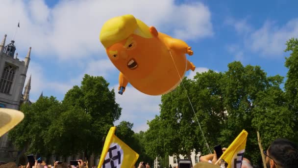 Baby Trump Ballon Wird Langsam Über Dem Parlamentsgarten Angehoben — Stockvideo