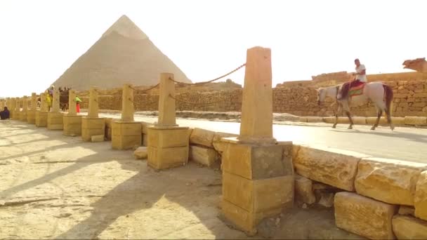 エジプト ギザの大ピラミッドを過ぎるラクダと馬車に乗っている人々 Steadicam Shot — ストック動画