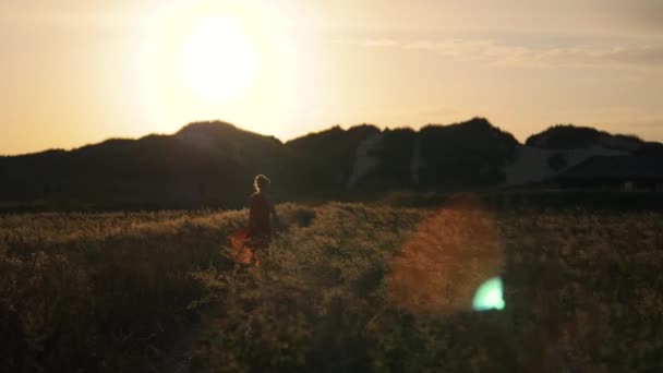 Mujer Caminando Por Campo Maíz Frente Hermosas Dunas Arena Atardecer — Vídeo de stock