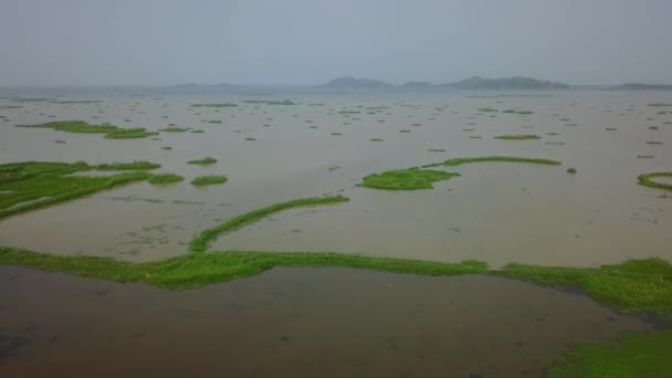 Loktak湖とその周辺地域のアリアルビュー Loktak湖はインド北東部で最も訪問された観光スポットの1つです — ストック動画