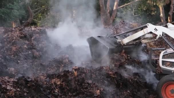 Tractorul Bobcat Descompune Grămadă Compost Aburitor Într Locație Certificată Green — Videoclip de stoc