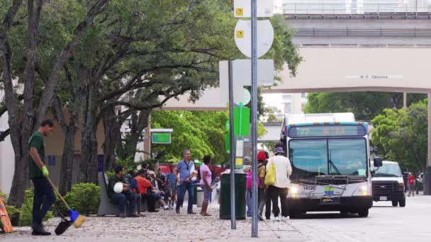 Люди Йдуть Чекають Сідають Автобус Центрі Маямі Картині Зображено Літнє — стокове відео