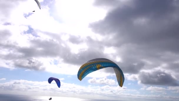 Paragliders San Diego — Stockvideo