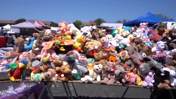 Marché Aux Puces San Diego — Video