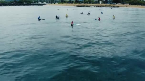 Surfing Haleiwa Beach Park — Stockvideo