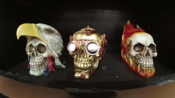 Three Skulls Shelf — Stock Video