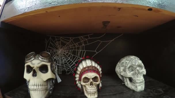 Three Skulls Shelf — Stock Video