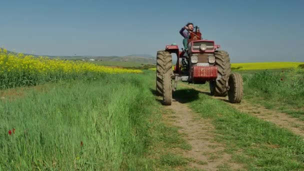 農家は ギリシャ北部の早春の黄色と緑のフィールド内の農道でトラクターを運転しながら バイオロンチェロを演奏しています 真昼の天気 — ストック動画
