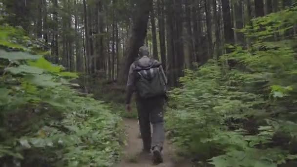 オレゴンの森で犬と一緒にハイキング — ストック動画