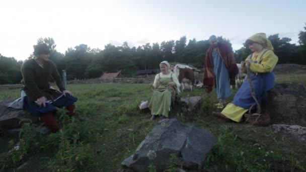Viking Age Village Reenactment Sweden Vikings Socialisant Dans Petit Village — Video
