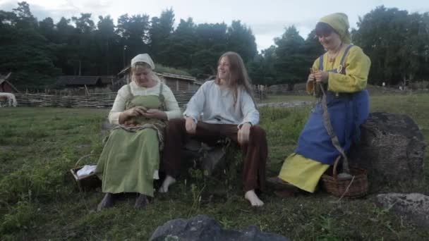 Desa Zaman Viking Reenactment Swedia Vikings Sosialisasi Dalam Clam Little — Stok Video