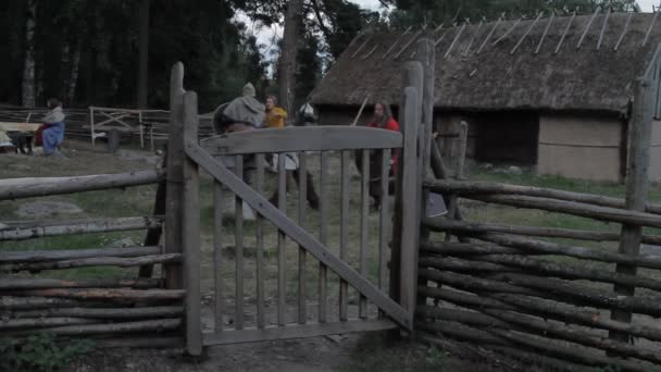 Реконструкция Деревни Викинг Эйдж Викинги Общаются Практикуют Мечами — стоковое видео